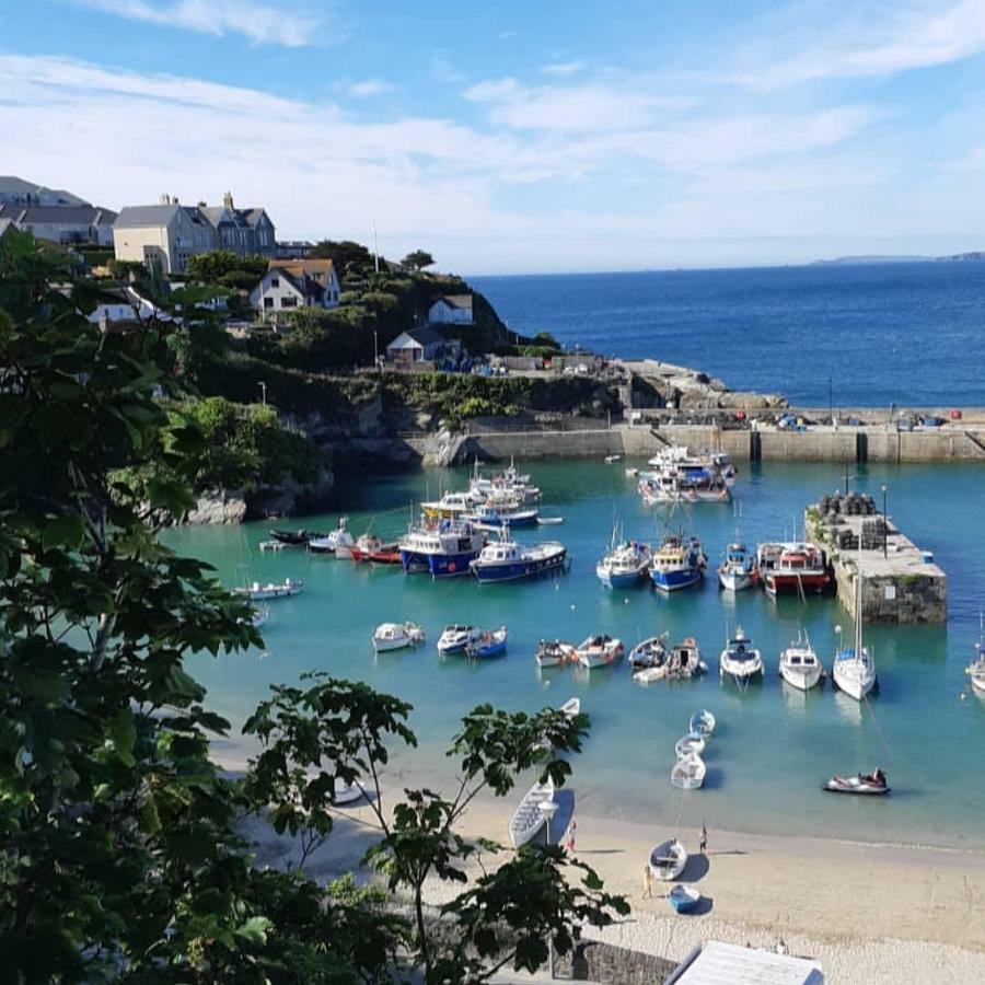 Tregella Guest House New Quay Extérieur photo